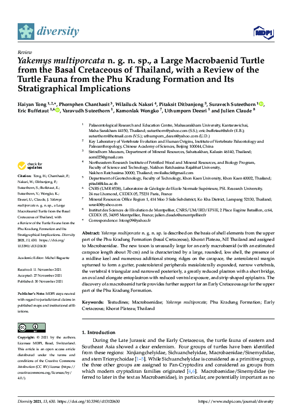 (PDF) Yakemys multiporcata n. g. n. sp., a Large Macrobaenid Turtle ...