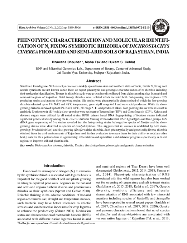 (PDF) Phenotypic Characterization and Molecular Identifi- Cation of N2 ...