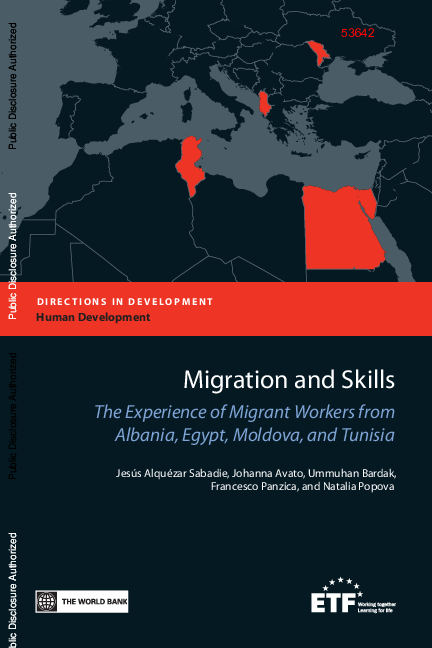 (PDF) Human Development Migration and Skills The Experience of Migrant ...