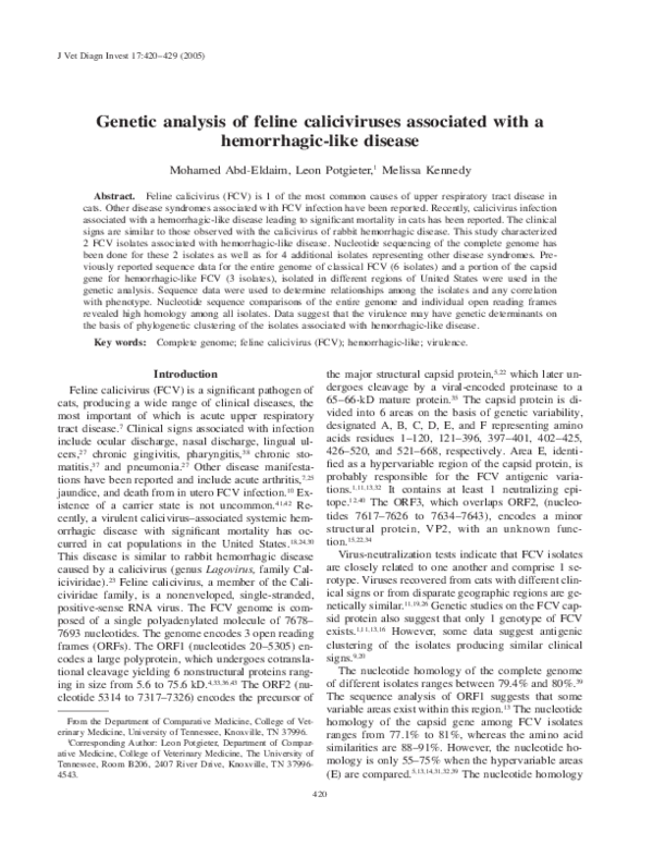 Picture Idea: Pdf Genetic Analysis Of Feline Caliciviruses Associated With A