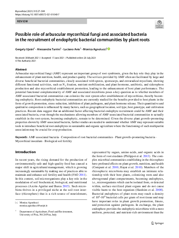 (PDF) Possible role of arbuscular mycorrhizal fungi in development of ...