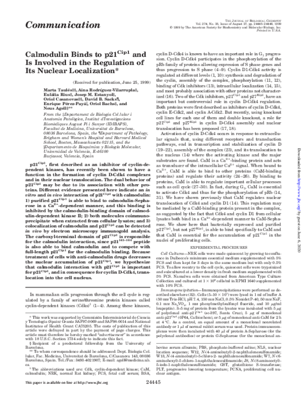 (PDF) Calmodulin Binds to P21Cip1 and is Involved In the Regulation of ...
