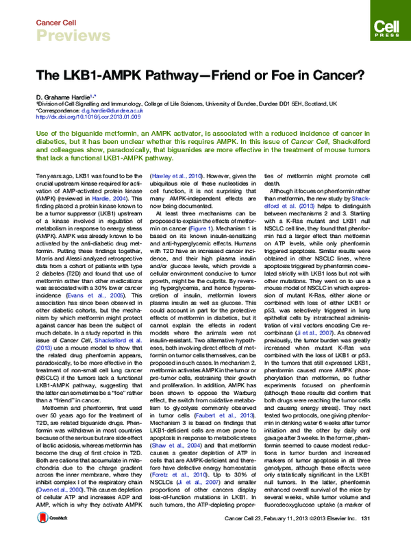 (PDF) The LKB1-AMPK Pathway—Friend or Foe in Cancer?