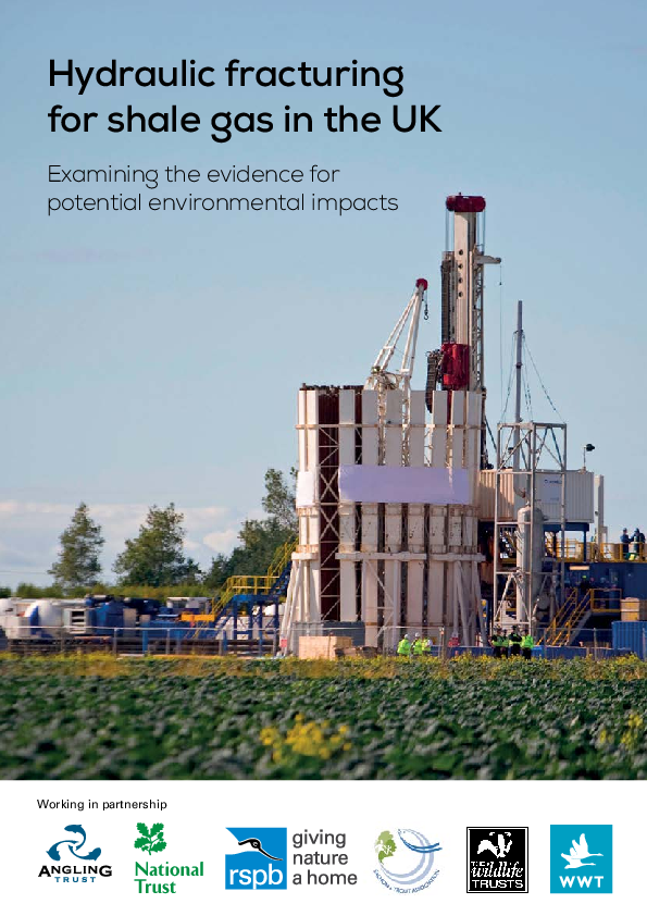 (PDF) Hydraulic fracturing for shale gas in the UK: Examining the ...