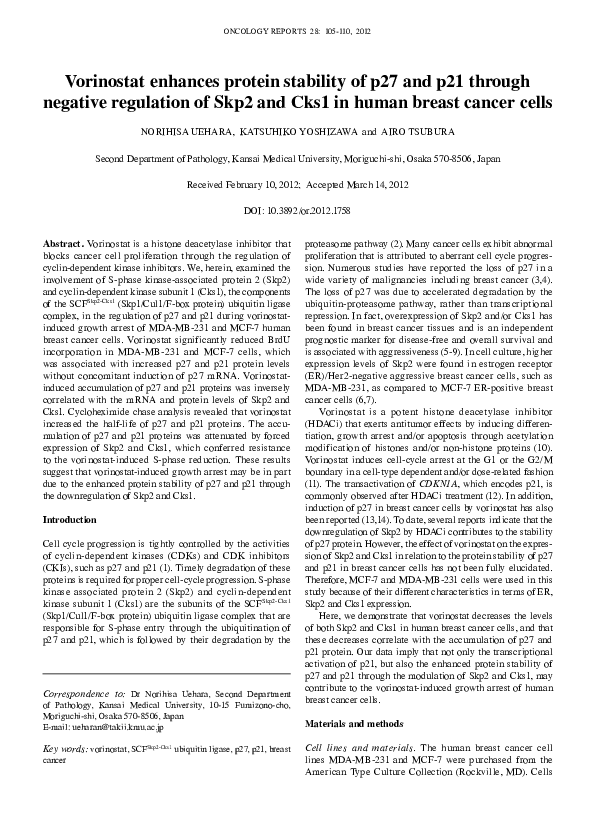 (PDF) Vorinostat enhances protein stability of p27 and p21 through ...