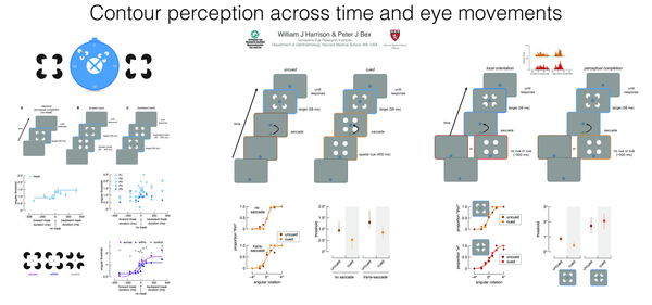 (PDF) Contour perception across time and eye movements