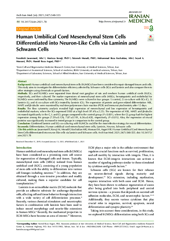 (PDF) Human Umbilical Cord Mesenchymal Stem Cells Differentiated into ...