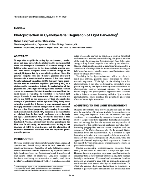 (PDF) Photoprotection in Cyanobacteria: Regulation of Light Harvesting