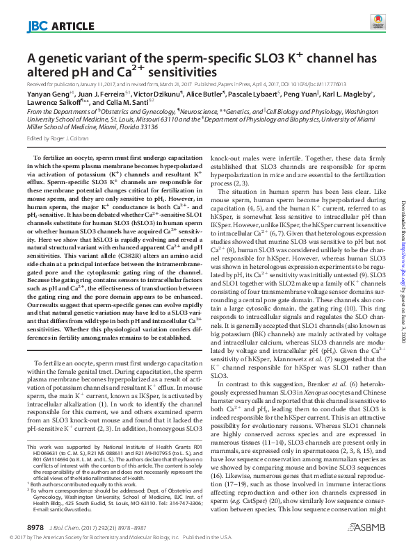 (PDF) A genetic variant of the sperm-specific SLO3 K(+) channel has ...