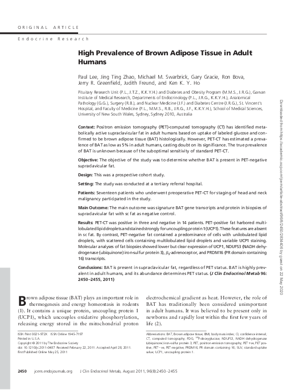 (PDF) High prevalence of brown adipose tissue in adult humans