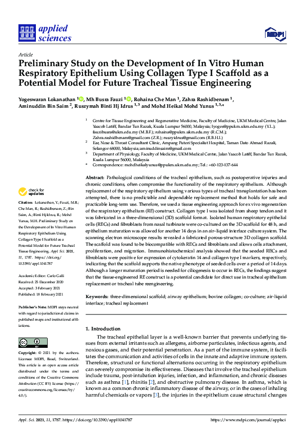 (PDF) Preliminary Study on the Development of In Vitro Human ...
