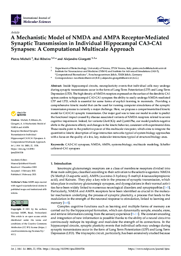 (PDF) A Mechanistic Model of NMDA and AMPA Receptor-Mediated Synaptic ...