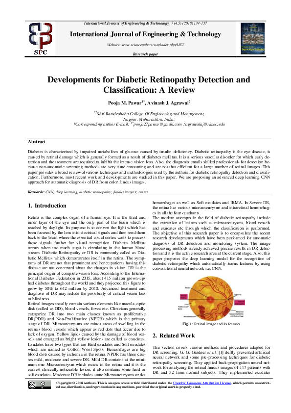 (PDF) Developments for Diabetic Retinopathy Detection and ...