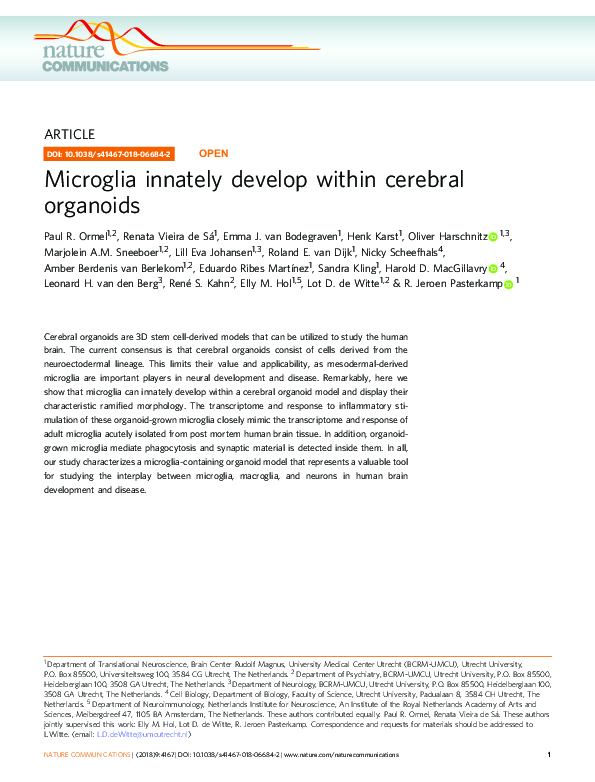 (PDF) Microglia innately develop within cerebral organoids R. jeroen