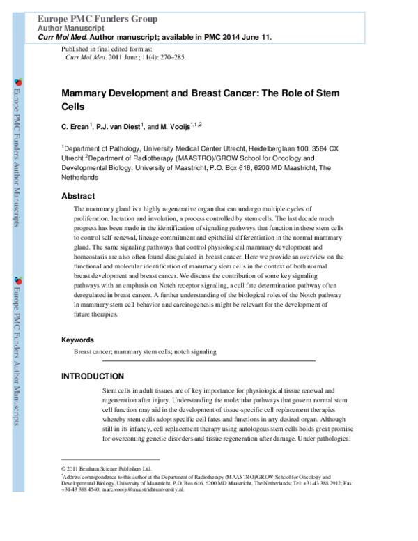 (PDF) Mammary Development and Breast Cancer: The Role of Stem Cells