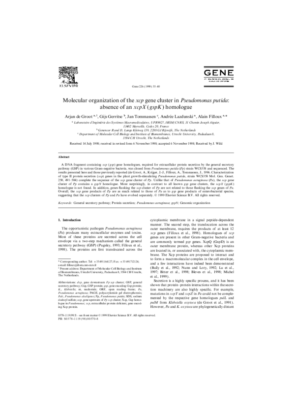 (PDF) Molecular organization of the xcp gene cluster in Pseudomonas ...
