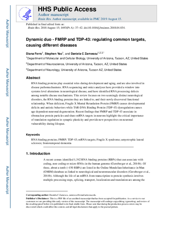 (PDF) Dynamic duo – FMRP and TDP-43: Regulating common targets, causing ...