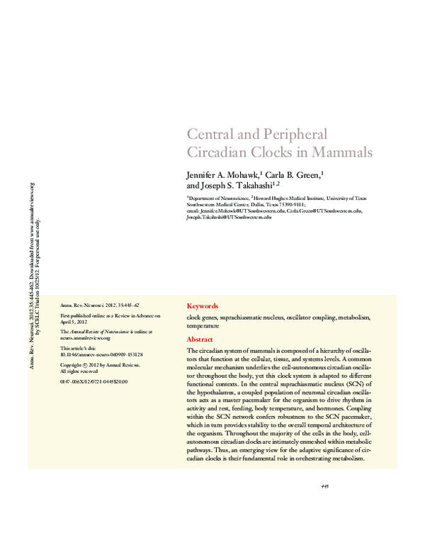 (PDF) Central and Peripheral Circadian Clocks in Mammals