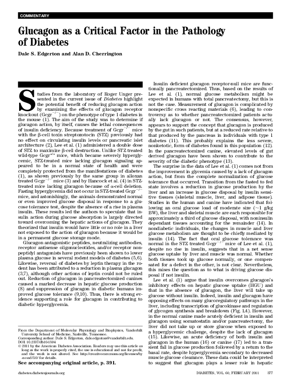 (PDF) Glucagon as a Critical Factor in the Pathology of Diabetes