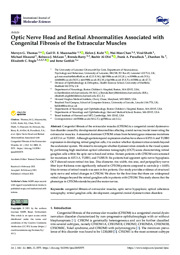 (PDF) Optic Nerve Head and Retinal Abnormalities Associated with ...