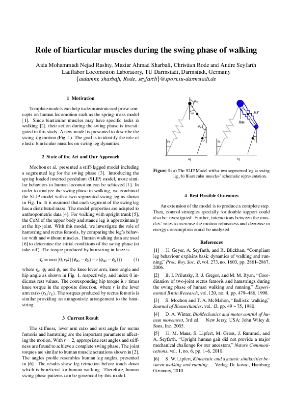 (PDF) Role of biarticular muscles during the swing phase of walking