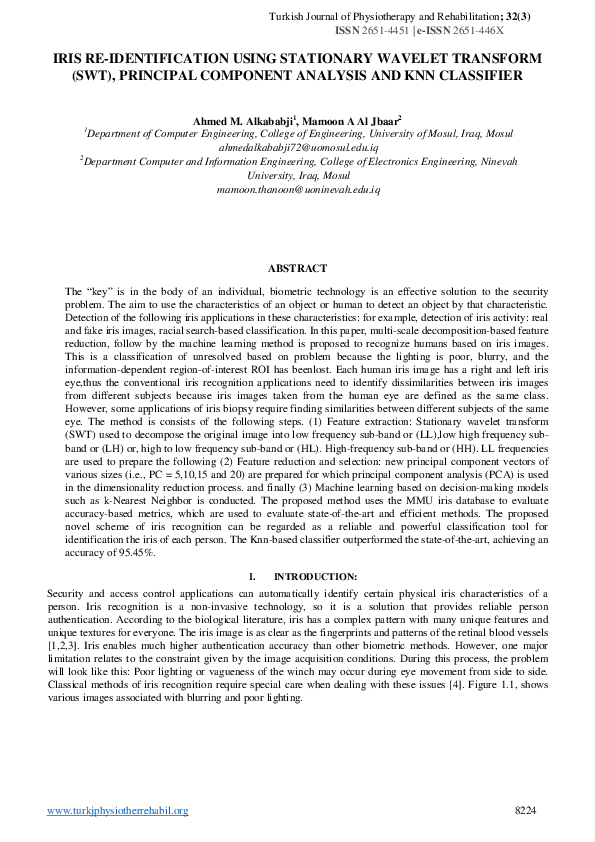 (PDF) Iris Re-Identification Using Stationary Wavelet Transform (SWT ...