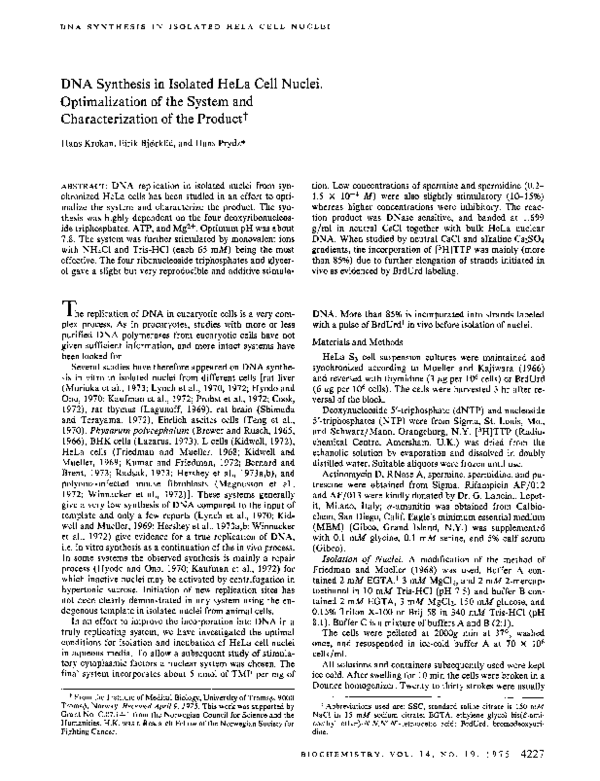 (PDF) DNA synthesis in isolated HeLa cell nuclei. Optimalization of the ...