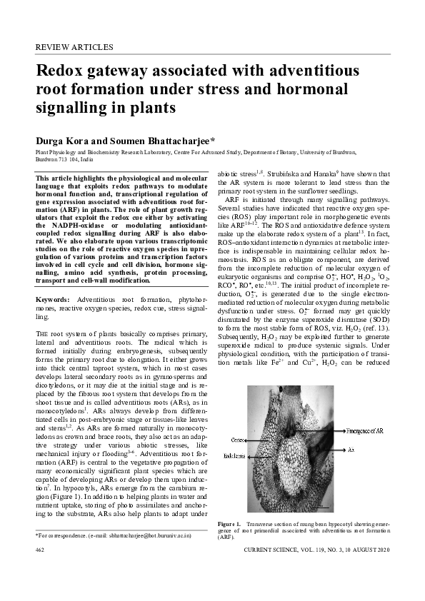 (PDF) Redox Gateway Associated with Adventitious Root Formation Under ...