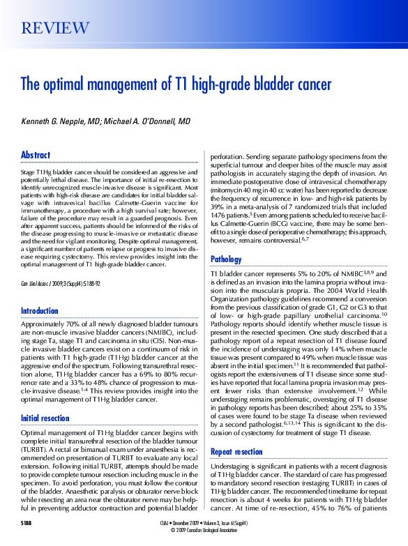 (PDF) The optimal management of T1 high-grade bladder cancer