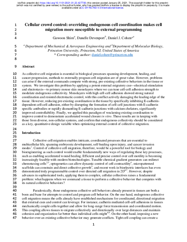 (PDF) Cellular crowd control: overriding endogenous cell coordination ...