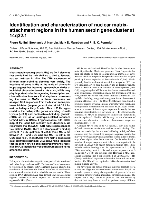 (PDF) Identification and characterization of nuclear matrix-attachment ...