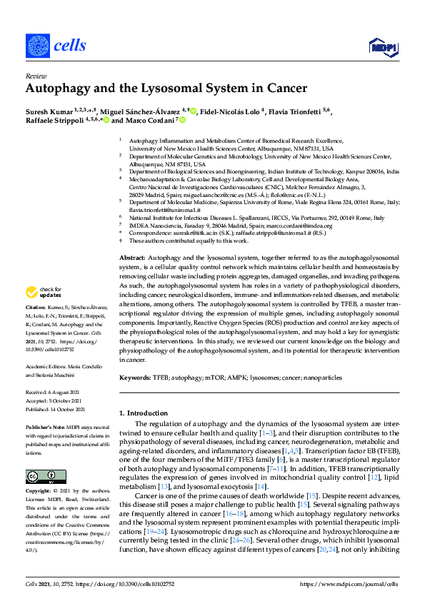 (PDF) Autophagy and the Lysosomal System in Cancer