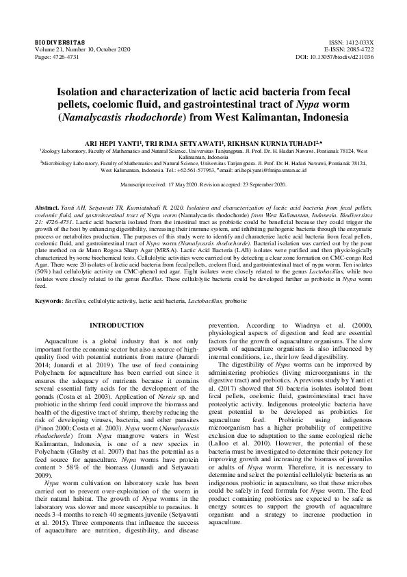(PDF) Isolation and characterization of lactic acid bacteria from fecal ...
