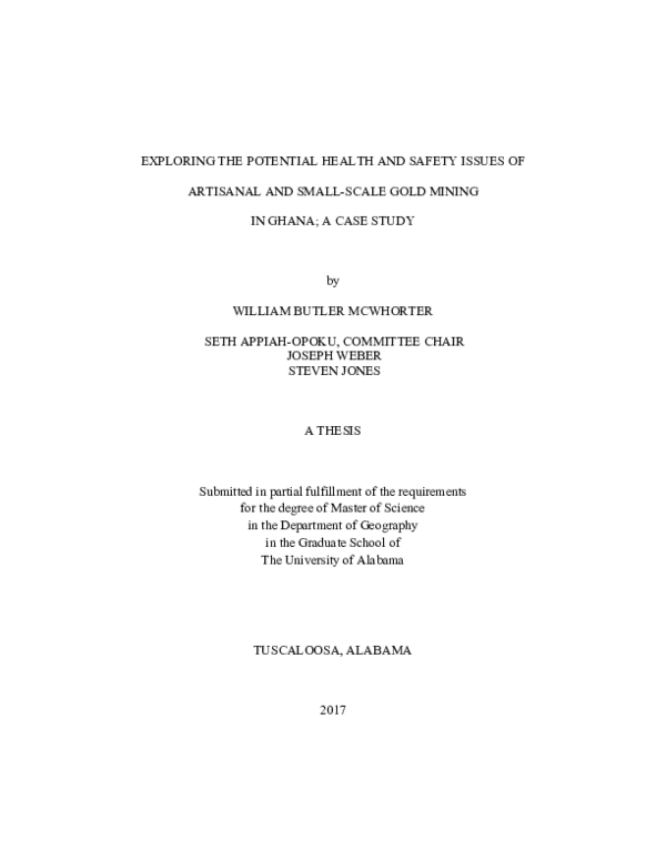 (PDF) THE POTENTIAL HEALTH AND SAFETY ISSUES OF ARTISANAL AND SMALL ...