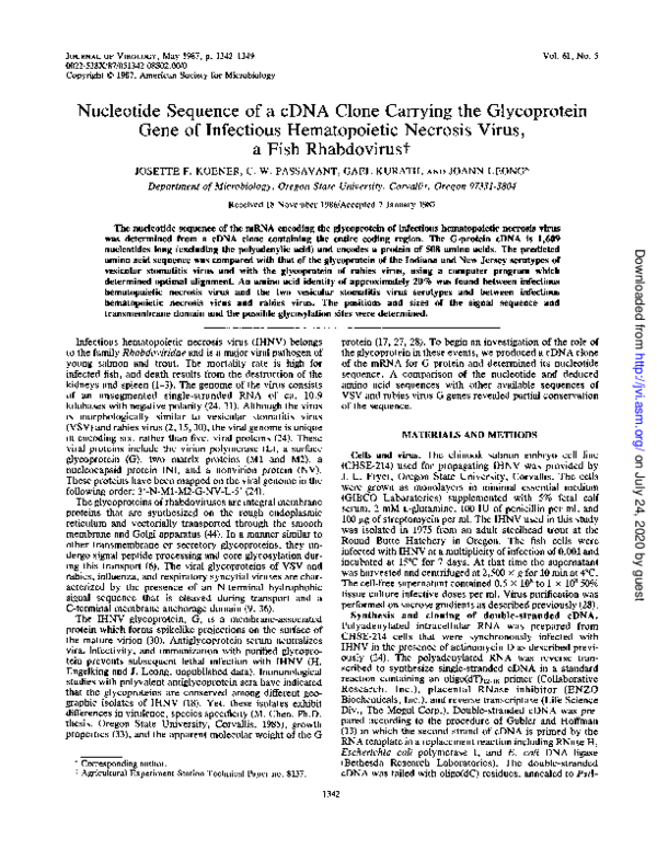 (PDF) Nucleotide sequence of a cDNA clone carrying the glycoprotein ...