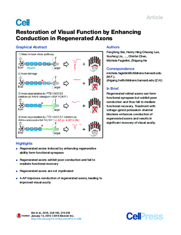 (PDF) Restoration of Visual Function by Enhancing Conduction in ...