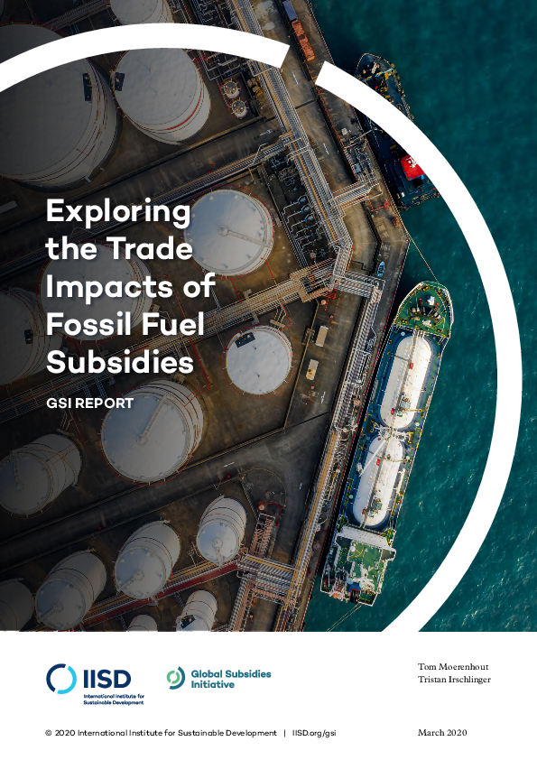 (PDF) Exploring the Trade Impacts of Fossil Fuel Subsidies
