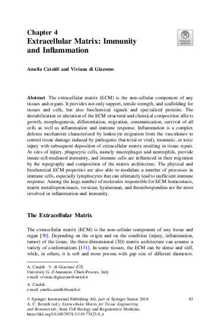 (PDF) Extracellular Matrix: Immunity and Inflammation | Amelia Cataldi ...