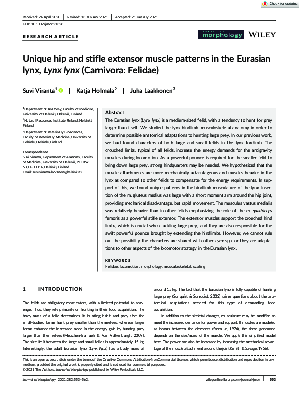(PDF) Unique hip and stifle extensor muscle patterns in the Eurasian ...