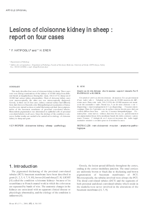(PDF) Lesions of cloisonne kidney in sheep report on four cases