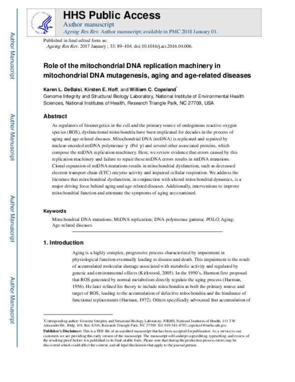 (PDF) Role of the mitochondrial DNA replication machinery in ...