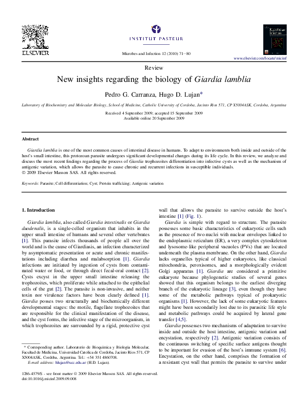 (PDF) New insights regarding the biology of Giardia lamblia