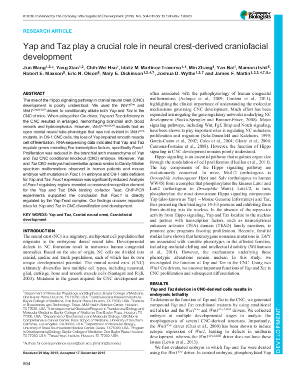 (PDF) Yap and Taz play a crucial role in neural crest-derived ...