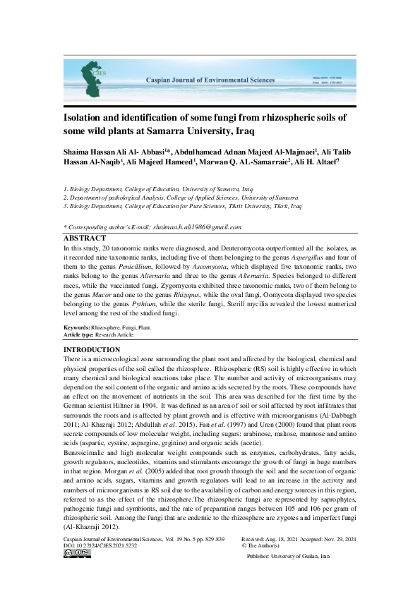 (PDF) Isolation and identification of some fungi from rhizospheric ...