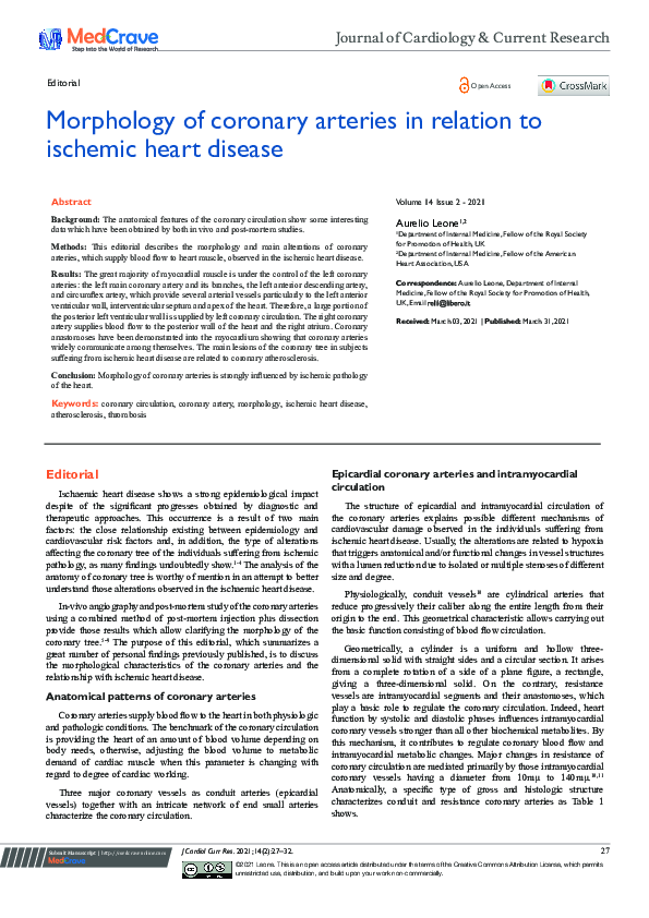 (PDF) Morphology of coronary arteries in relation to ischemic heart disease