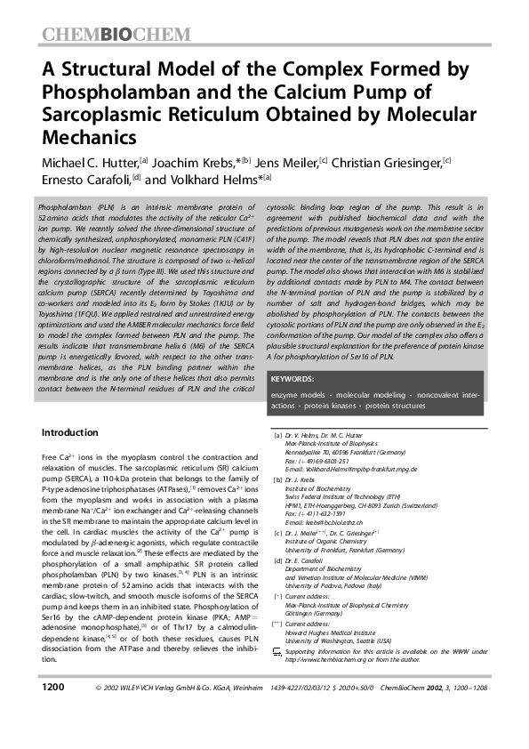 (PDF) A structural model of the complex formed by phospholamban and the ...