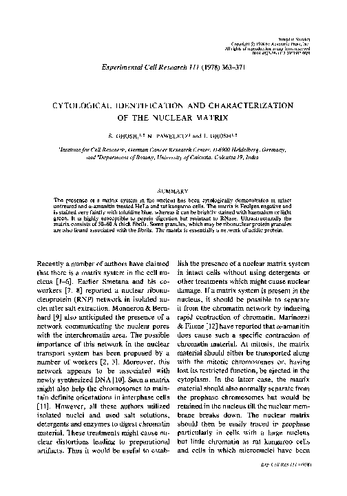 (PDF) Cytological identification and characterization of the nuclear matrix