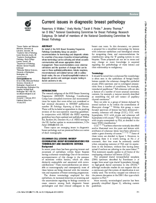 (PDF) Current issues in diagnostic breast pathology