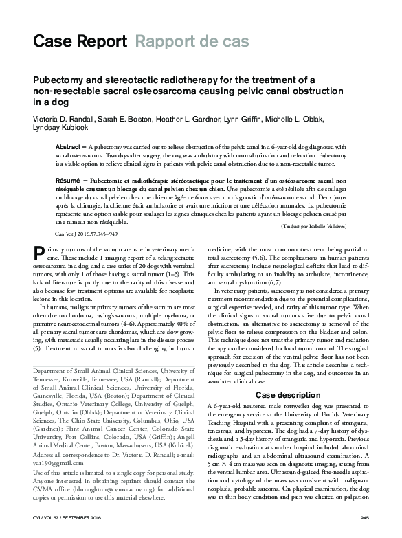(PDF) Pubectomy and stereotactic radiotherapy for the treatment of a ...
