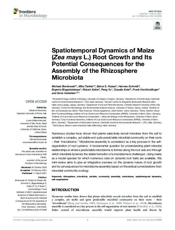 (PDF) Spatiotemporal Dynamics of Maize (Zea mays L.) Root Growth and ...